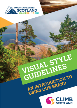 Visual Style Guidelines