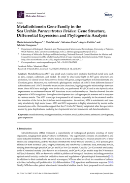 Metallothionein Gene Family in the Sea Urchin Paracentrotus Lividus: Gene Structure, Differential Expression and Phylogenetic Analysis