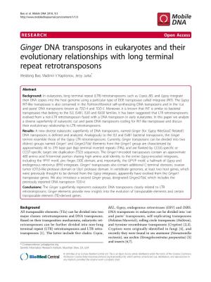 Ginger DNA Transposons in Eukaryotes and Their Evolutionary Relationships with Long Terminal Repeat Retrotransposons Weidong Bao, Vladimir V Kapitonov, Jerzy Jurka*