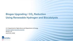 Biogas Upgrading / CO Reduction Using Renewable Hydrogen And