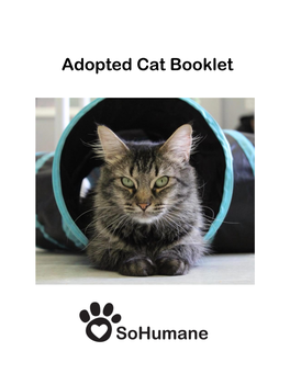 Post Adoption Cat Book