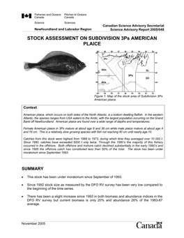 STOCK ASSESSMENT on SUBDIVISION 3Ps AMERICAN PLAICE
