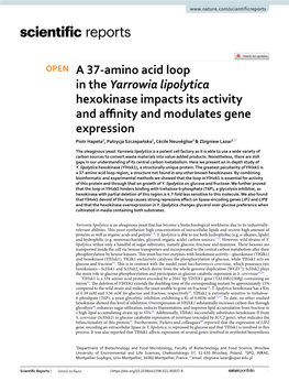 A 37-Amino Acid Loop in the Yarrowia Lipolytica Hexokinase Impacts Its Activity and Affinity and Modulates Gene Expression