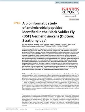 A Bioinformatic Study of Antimicrobial Peptides Identified in The