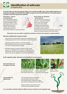 Identification of Wild-Oats Dr Stephen Moss ROTHAMSTED RESEARCH in the UK, There Are Two Main Species Which Occur As Weeds of Arable Crops