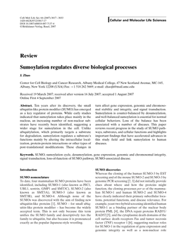 Review Sumoylation Regulates Diverse Biological Processes