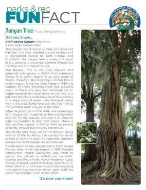 Banyan Tree Ficus Benghalensis Did You Know… Kraft Azalea Garden Is Home to a Very Large Banyan Tree? the Banyan Tree Is Native to India, Sri Lanka and Pakistan