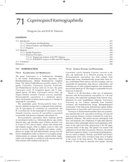 71 Coprinopsis/Hormographiella