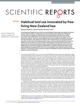 Habitual Tool Use Innovated by Free-Living New Zealand