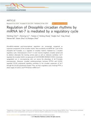 Regulation of Drosophila Circadian Rhythms by Mirna Let-7 Is Mediated by a Regulatory Cycle
