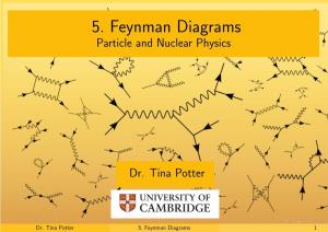 Feynman Diagrams Particle and Nuclear Physics
