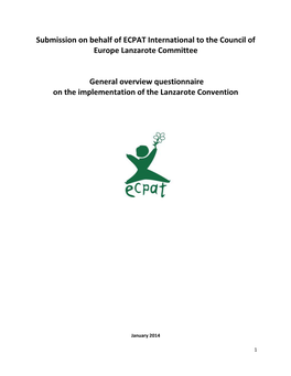 ECPAT International to the Council of Europe Lanzarote Committee