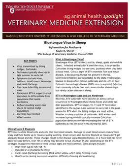 Bluetongue Virus in Sheep Information for Producers Kaylie M