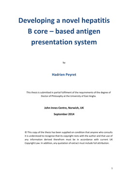 Developing a Novel Hepatitis B Core – Based Antigen Presentation System