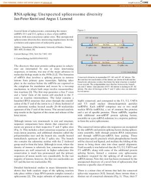 RNA Splicing: Unexpected Spliceosome Diversity Jan-Peter Kreivi and Angus I