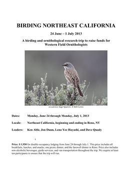 Birding Northeast California