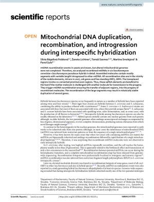 Mitochondrial DNA Duplication, Recombination, and Introgression During Interspecific Hybridization