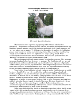Crossbreeding the Andalusian Horse by Sarah Gately-Wilson
