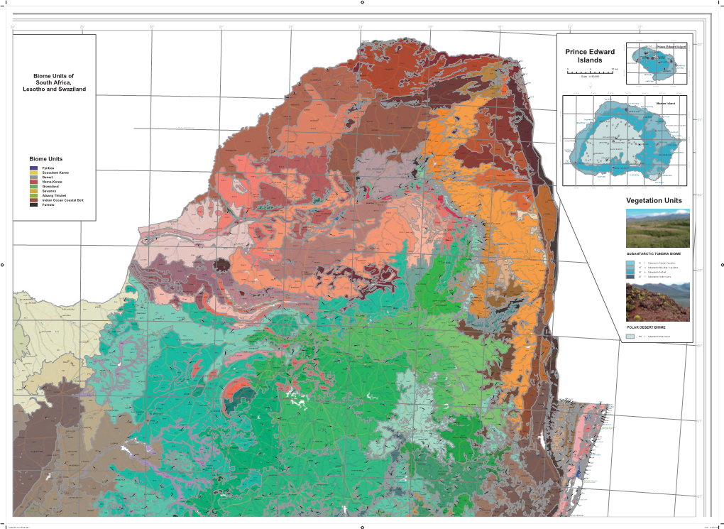 Vegetation Units Prince Edward Islands