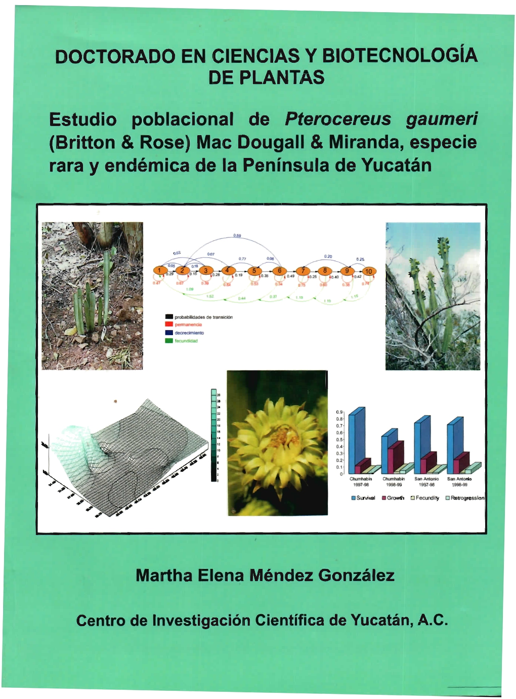 PCBP D Tesis Martha Mendez.Pdf