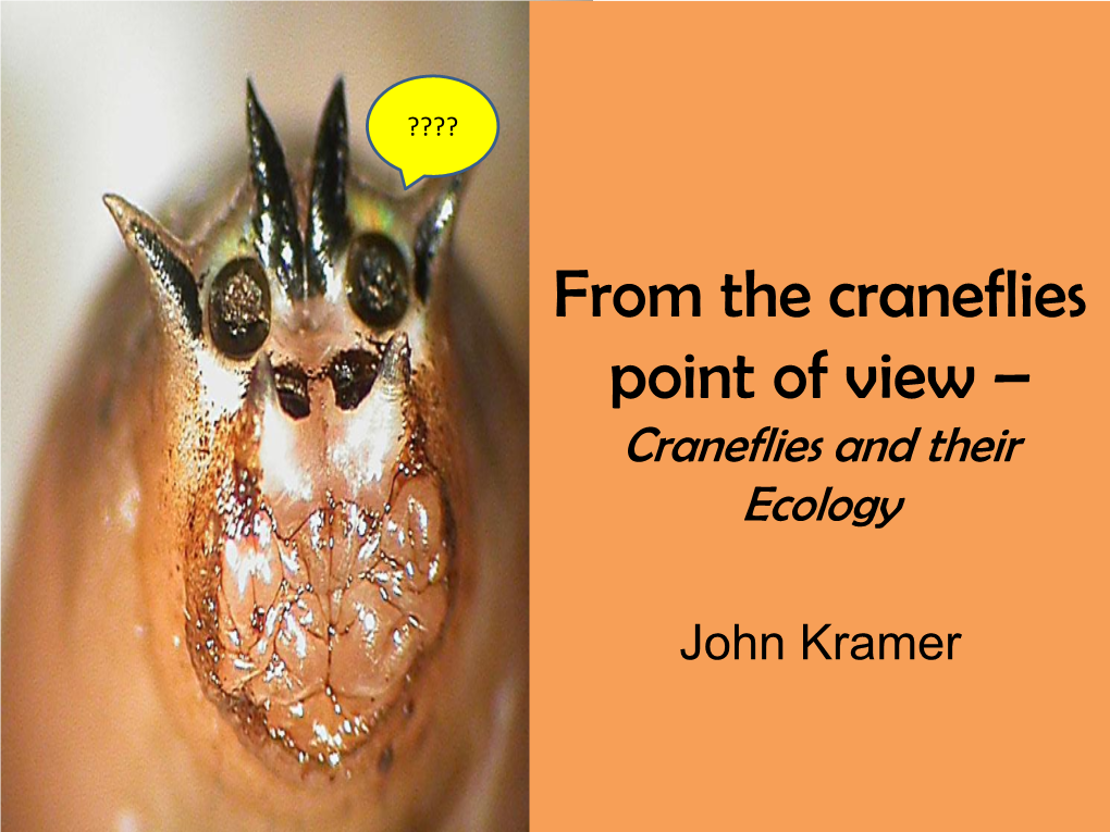 Craneflies and Their Ecology John Kramer