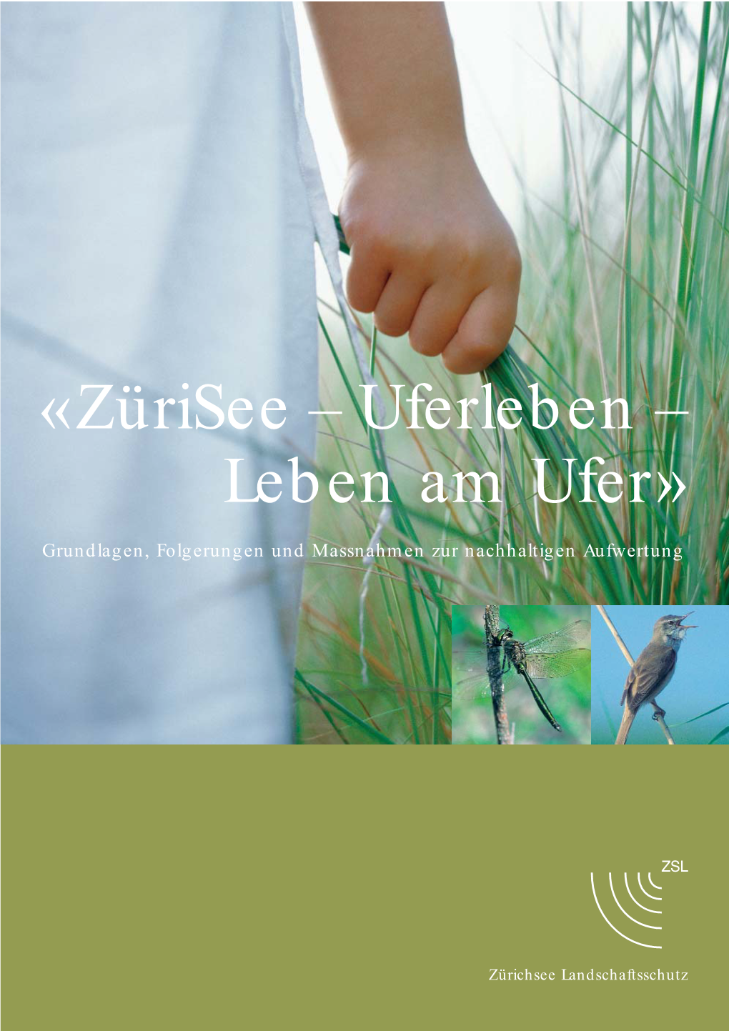 «Zürisee – Uferleben – Leben Am Ufer»