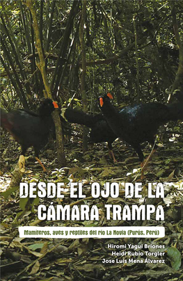 DESDE EL OJO DE LA CÁMARA TRAMPA Mamíferos, Aves Y Reptiles Del Río La Novia (Purús, Perú)
