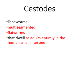 •Tapeworms •Multisegmented •Flatworms •That Dwell As Adults Entirely in the Human Small Intestine Cestodes