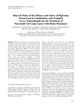 Phase II Study of the Efficacy and Safety of High-Dose Pemetrexed in Combination with Cisplatin Versus Temozolomide for the Trea