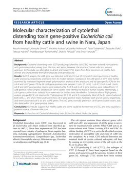 Molecular Characterization of Cytolethal