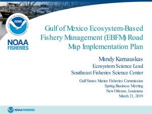 Gulf of Mexico Ecosystem-Based Fishery Management (EBFM)