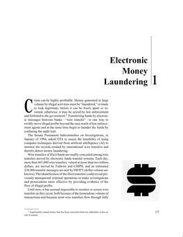 Electronic Money Laundering