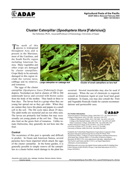 Cluster Caterpillar (Spodoptera Litura [Fabricius]) Ilse Schreiner, Ph.D., Associateprofessor of Entomology, University of Guam