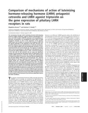 LHRH) Antagonist Cetrorelix and LHRH Agonist Triptorelin on the Gene Expression of Pituitary LHRH Receptors in Rats