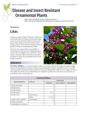 Disease and Insect Resistant Ornamental Plants: Syringa