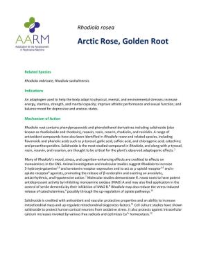 Rhodiola Rosea Arctic Rose, Golden Root