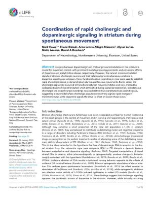 Coordination of Rapid Cholinergic and Dopaminergic Signaling in Striatum During Spontaneous Movement