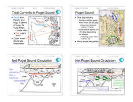 Tidal Currents in Puget Sound