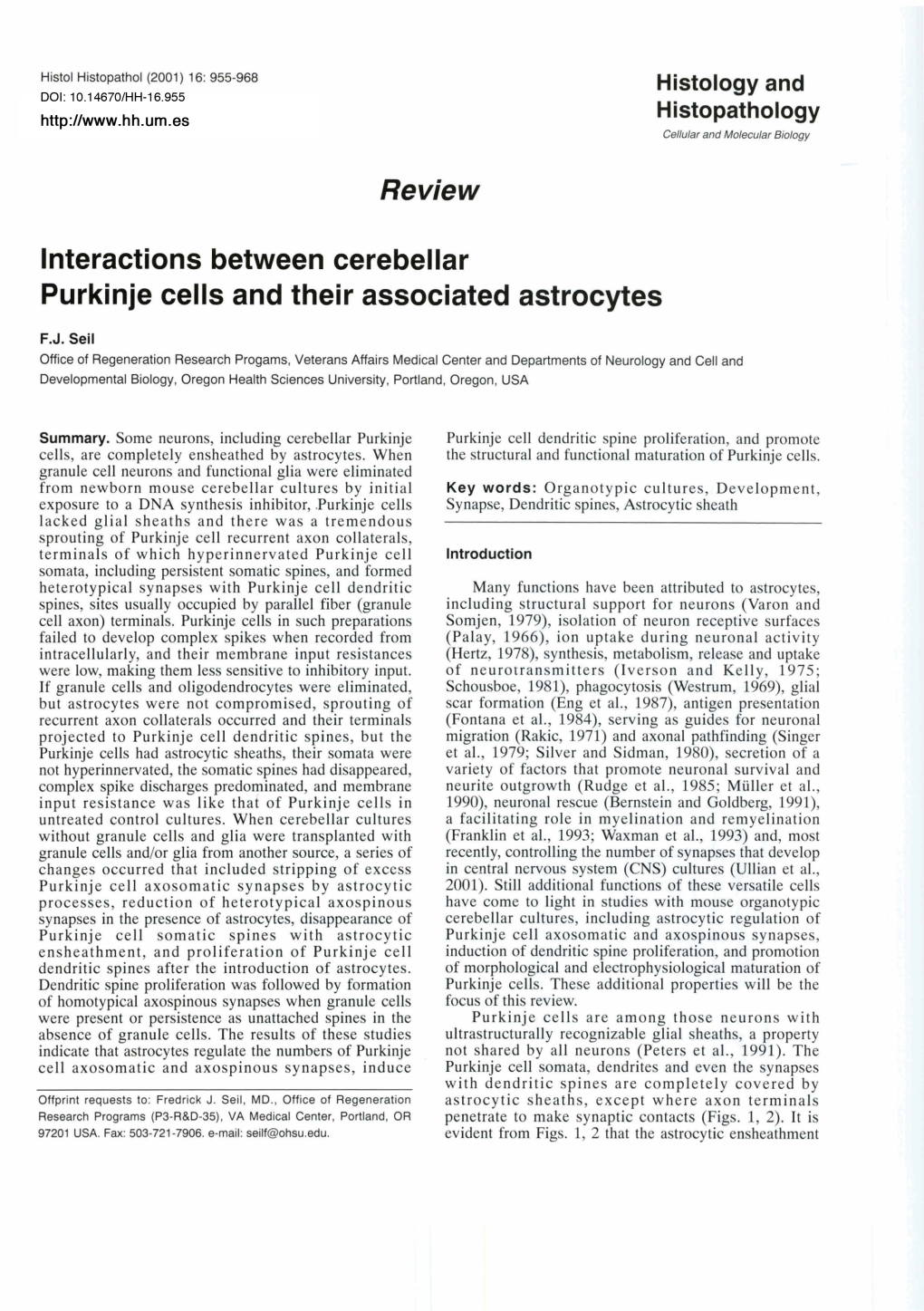 Lnteractions Between Cerebellar Purkinje Cells and Their Associated