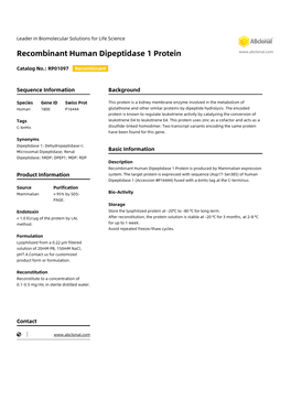 Recombinant Human Dipeptidase 1 Protein