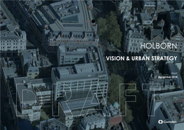 Holborn Vision & Urban Strategy