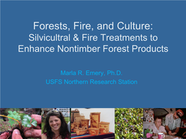 Forests, Fire, and Culture: Silvicultral & Fire Treatments to Enhance Nontimber Forest Products