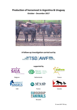 Production of Horsemeat in Argentina & Uruguay