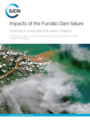 Impacts of the Fundão Dam Failure