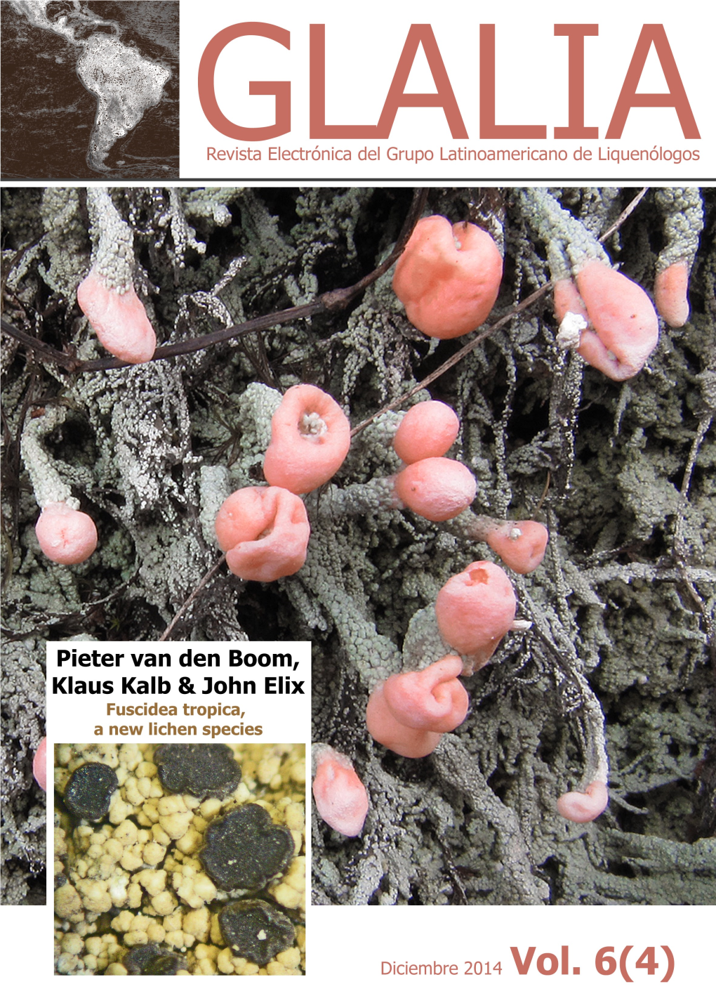 Fuscidea Tropica, a New Lichen Species from Brazil, Guatemala and Venezuela