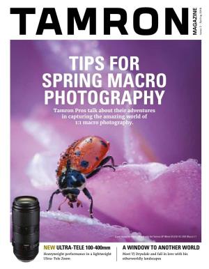 TIPS for SPRING MACRO PHOTOGRAPHY Tamron Pros Talk About Their Adventures in Capturing the Amazing World of 1:1 Macro Photography