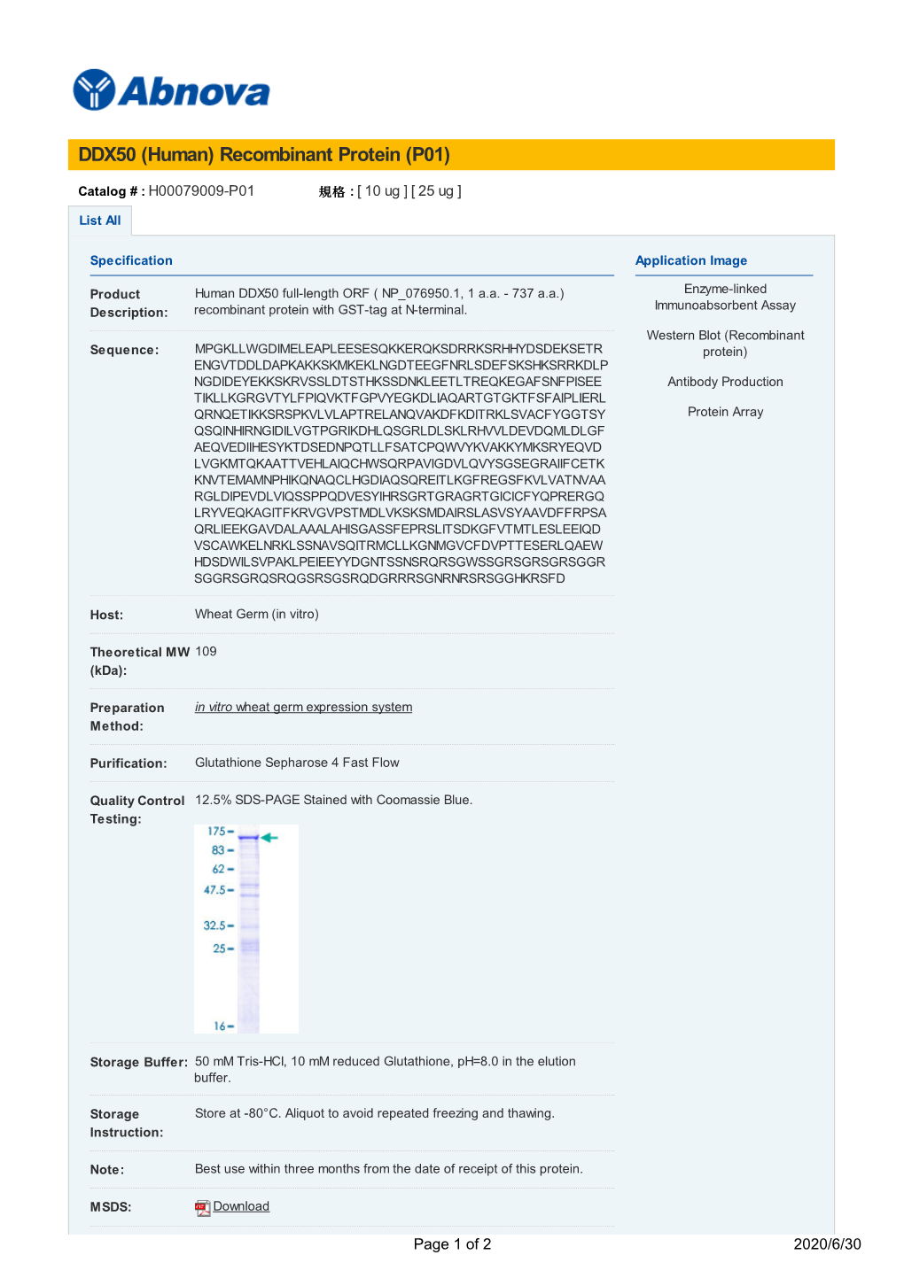 DDX50 (Human) Recombinant Protein (P01)