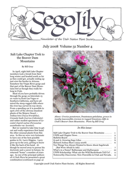July 2008 Volume 31 Number 4
