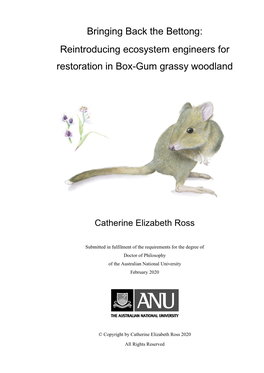 Bringing Back the Bettong: Reintroducing Ecosystem Engineers for Restoration in Box-Gum Grassy Woodland
