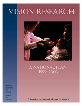 Nei Vision Report.Pdf